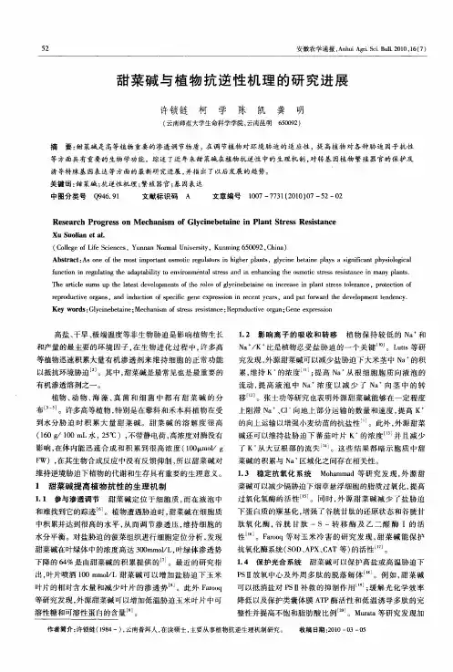 甜菜碱与植物抗逆性机理的研究进展