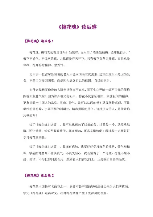 《梅花魂》读后感_1