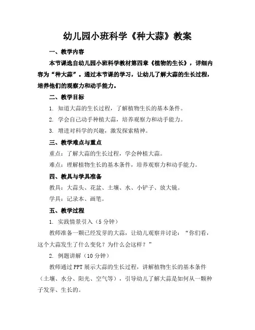幼儿园小班科学《种大蒜》教案