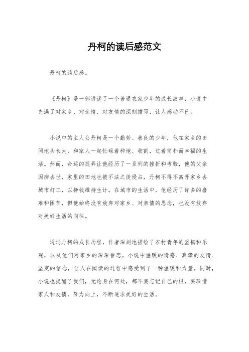丹柯的读后感范文