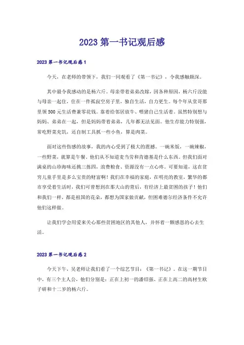 2023第一书记观后感
