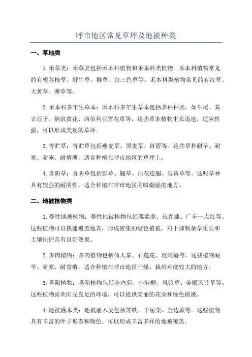 呼市地区常见草坪及地被种类