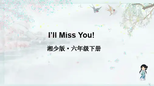 湘少版六年级英语下册 I'll Miss You!(教学课件)