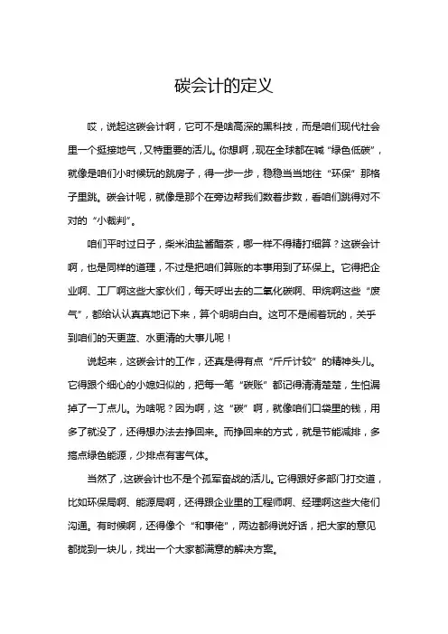 碳会计的定义