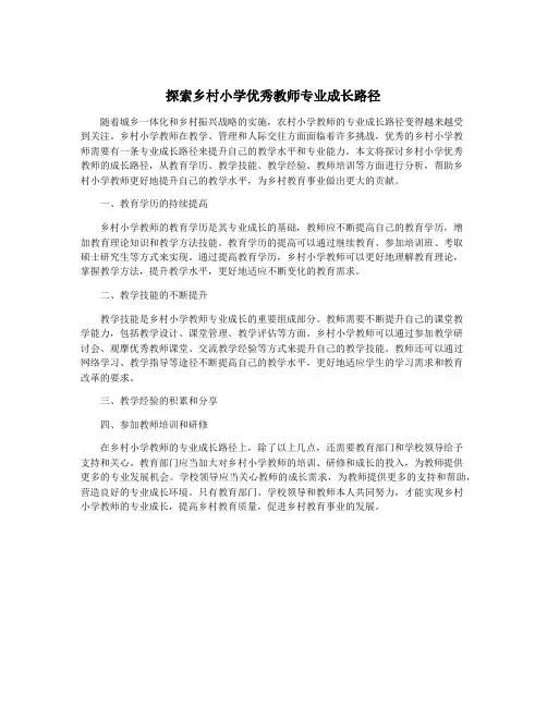 探索乡村小学优秀教师专业成长路径