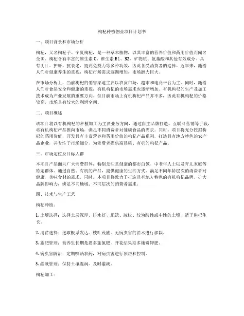 枸杞种植创业项目计划书