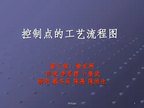 带控制点的工艺流程图设计 (2)