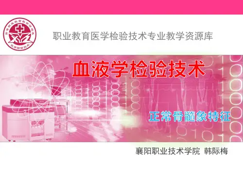 正常骨髓象特征.