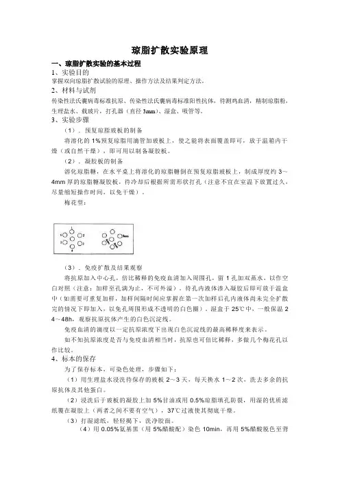 琼脂扩散实验原理