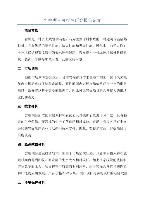 岩棉项目可行性研究报告范文