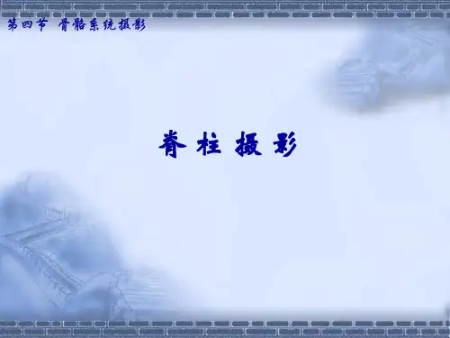 《脊柱》ppt课件85页