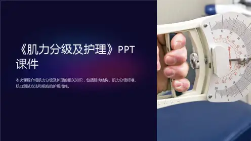 《肌力分级及护理》课件