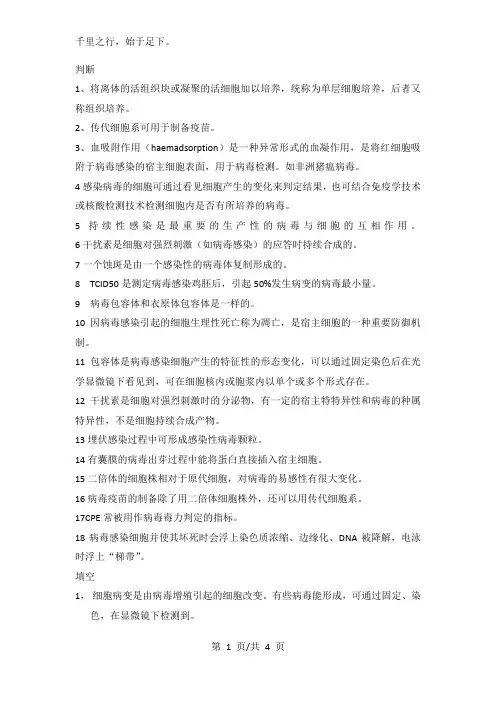 病毒与细胞的相互作用