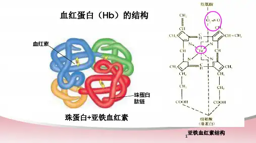 301.3.2血红蛋白测定教你读懂化验单