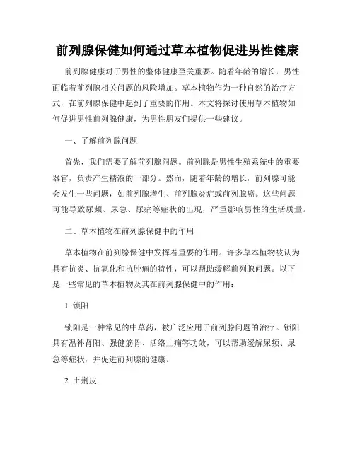 前列腺保健如何通过草本植物促进男性健康