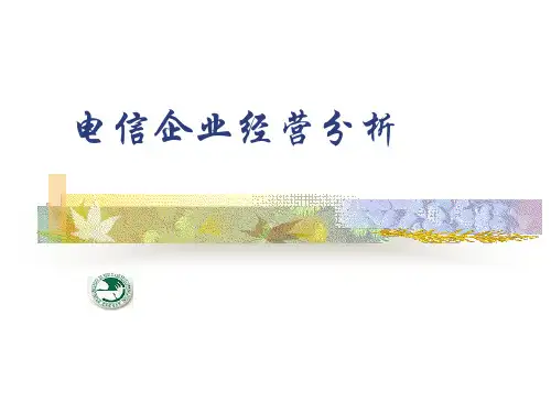 电信企业经营分析(ppt 80)