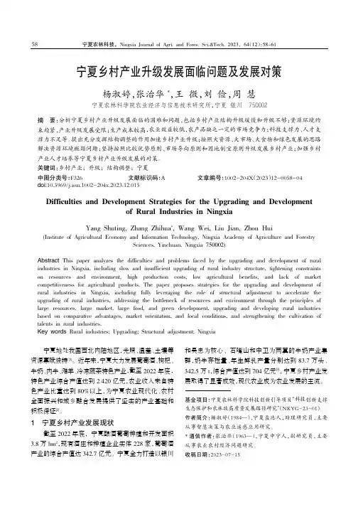 宁夏乡村产业升级发展面临问题及发展对策