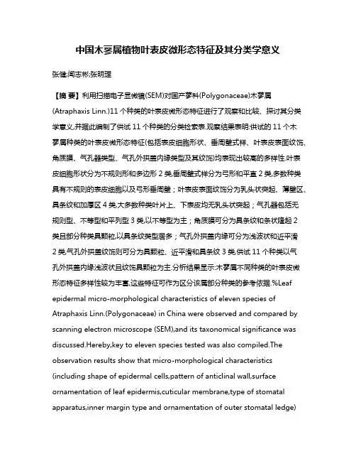 中国木蓼属植物叶表皮微形态特征及其分类学意义