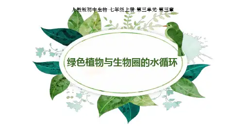 人教版 七年级上册  绿色植物与生物圈的水循环 课件