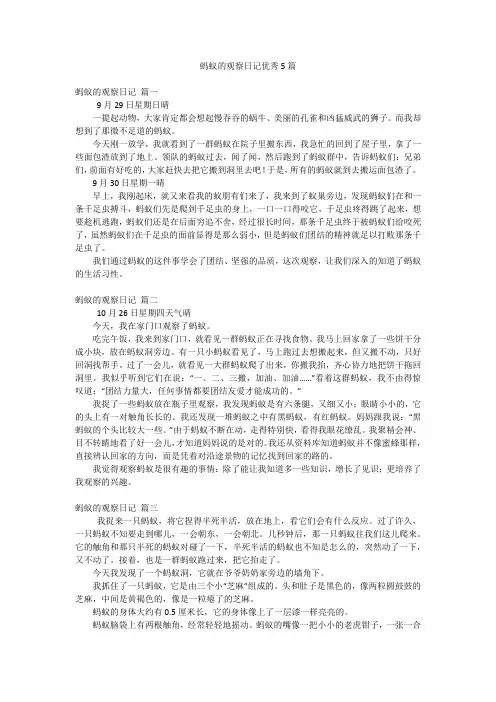 蚂蚁的观察日记优秀5篇