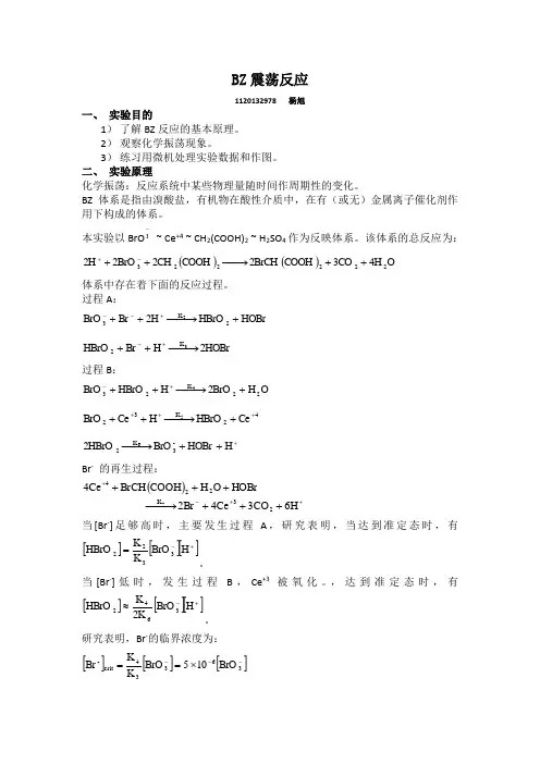 BZ震荡实验报告