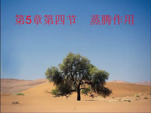 《蒸腾作用》课件..