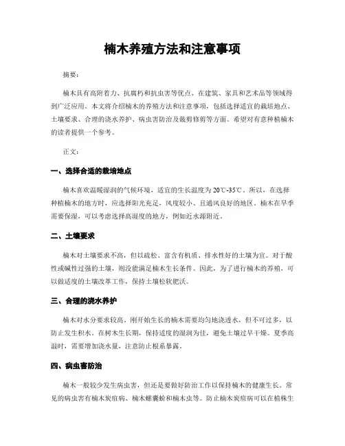 楠木养殖方法和注意事项