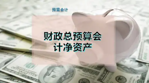 财政总预算会计净资产