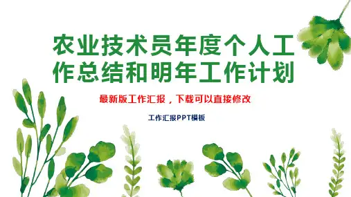 农业技术员年度个人工作总结和明年工作计划PPT模板下载