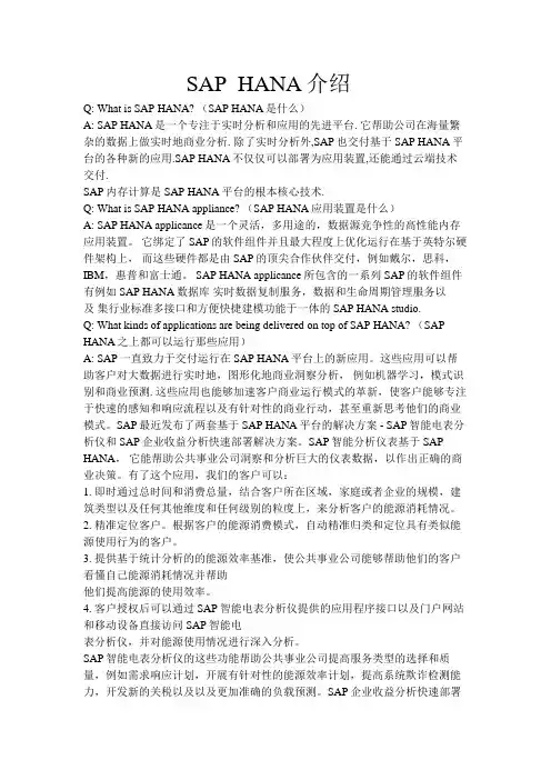 SAP_HANA的见解和详细说明