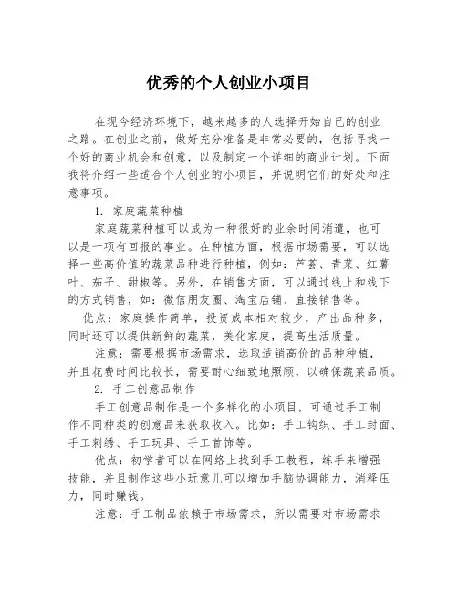 优秀的个人创业小项目