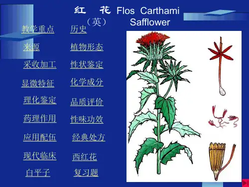 红花