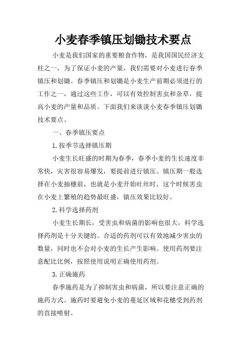 小麦春季镇压划锄技术要点