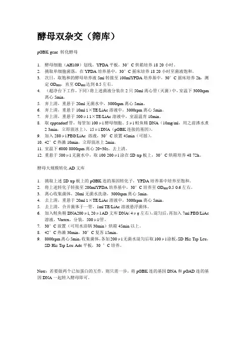 酵母双杂交