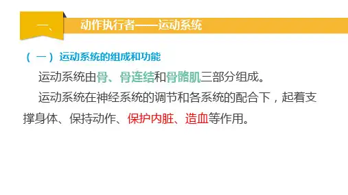 幼儿运动系统