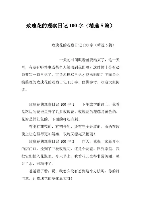 玫瑰花的观察日记100字(精选5篇)