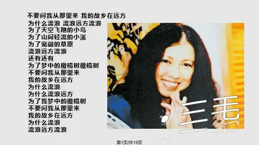 三毛介绍PPT课件