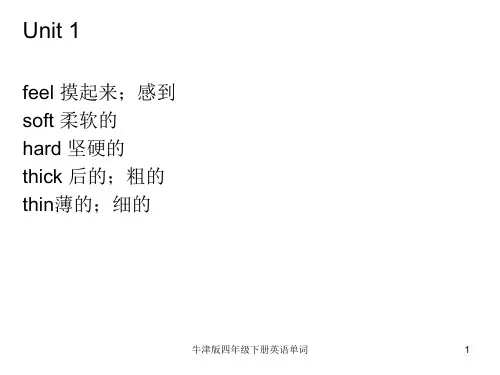 牛津版四年级下册英语单词 ppt课件
