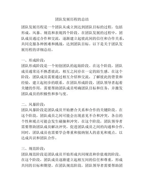 团队发展历程的总结