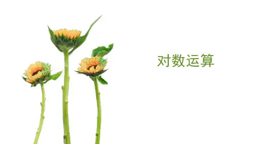 4.3.2对数的运算 课件(共24张PPT)