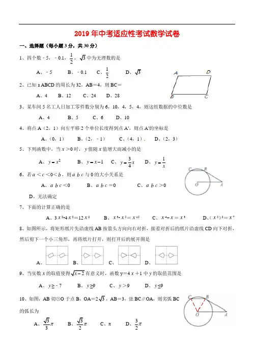 2019年中考适应性考试数学试卷及答案