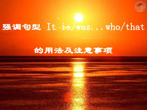 高三英语强调句型-It-is...that的用法