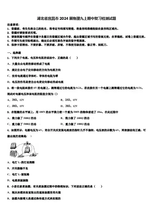 湖北省宜昌市2024届物理九上期中复习检测试题含解析