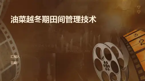 油菜越冬期田间管理技术