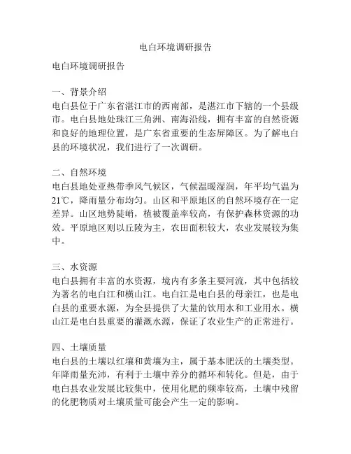 电白环境调研报告