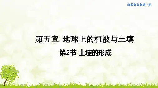 高中地理湘教版2019必修一公开课土壤的形成