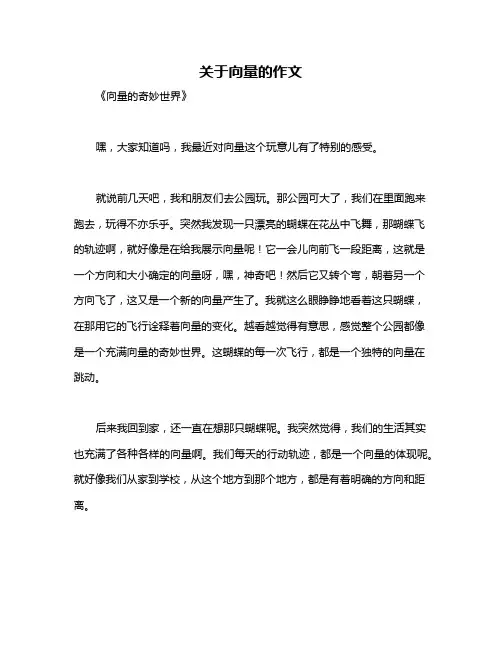 关于向量的作文
