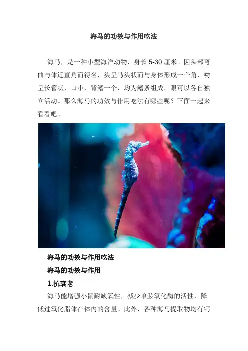 海马的功效与作用吃法