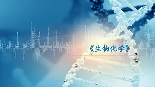 氨基酸代谢—个别氨基酸的代谢(生物化学课件)