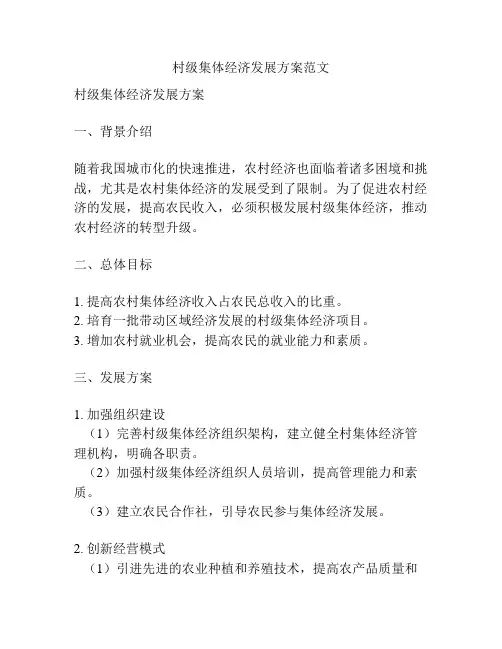 村级集体经济发展方案范文